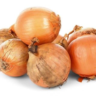 Cipolla