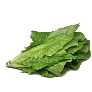 Lattuga