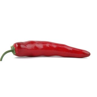 Peperoncino