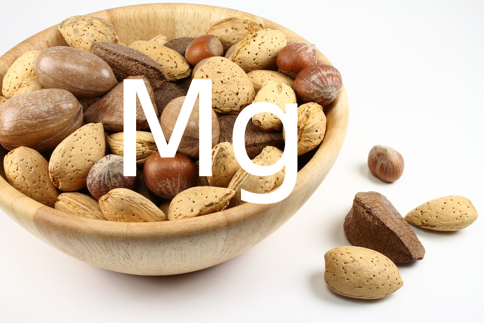 Magnesio