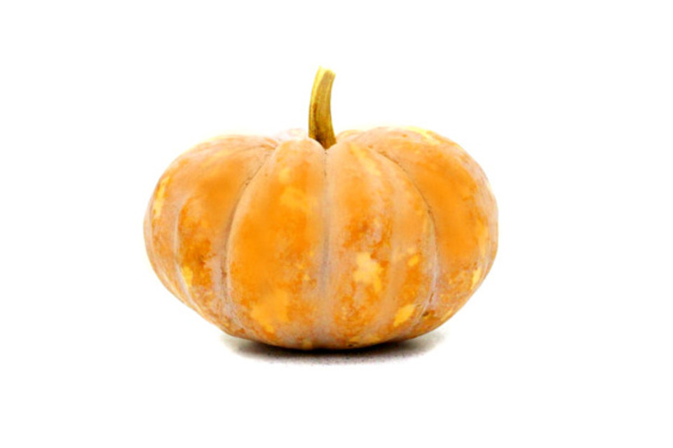 Zucca