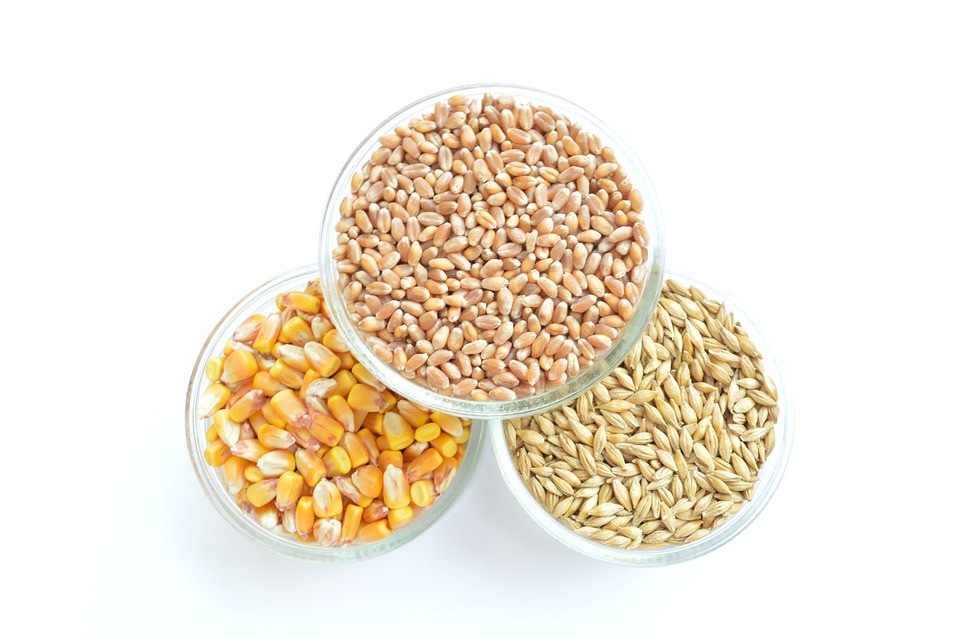 Cereali e Semi