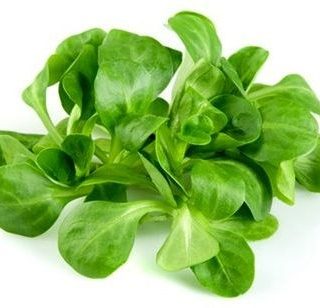 Valeriana