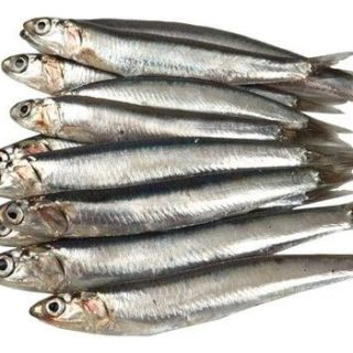 Alici
